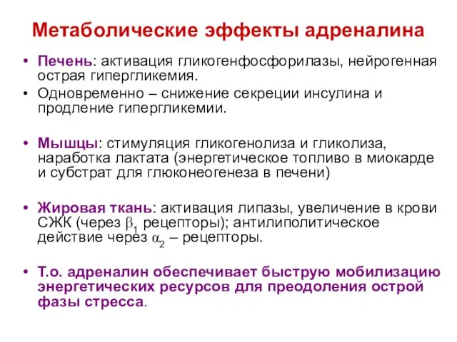 Метаболические эффекты адреналина Печень: активация гликогенфосфорилазы, нейрогенная острая гипергликемия. Одновременно