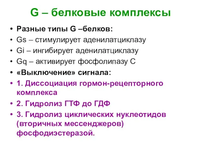 G – белковые комплексы Разные типы G –белков: Gs –