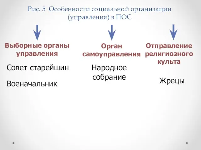 Рис. 5 Особенности социальной организации (управления) в ПОС Выборные органы