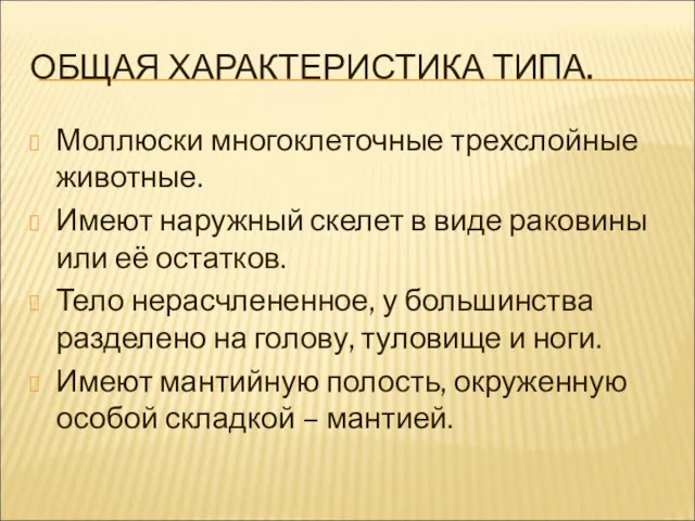 ОБЩАЯ ХАРАКТЕРИСТИКА ТИПА. Моллюски многоклеточные трехслойные животные. Имеют наружный скелет