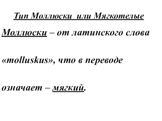 Тип Моллюски или Мягкотелые Моллюски – от латинского слова «molluskus», что в переводе означает – мягкий.