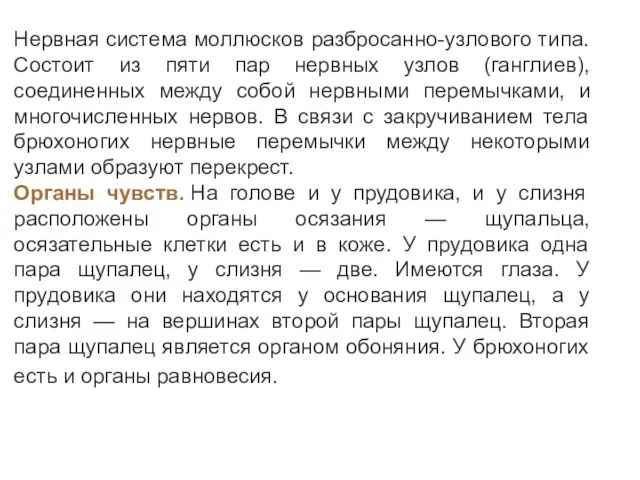 Нервная система моллюсков разбросанно-узлового типа. Состоит из пяти пар нервных