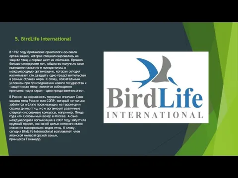 5. BirdLife International В 1922 году британские орнитологи основали организацию,