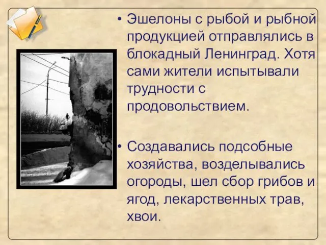 Эшелоны с рыбой и рыбной продукцией отправлялись в блокадный Ленинград.