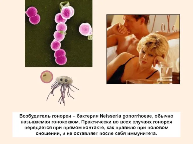 Возбудитель гонореи – бактерия Neisseria gonorrhoeae, обычно называемая гонококком. Практически