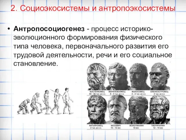 2. Социоэкосистемы и антропоэкосистемы Антропосоциогенез - процесс историко-эволюционного формирования физического