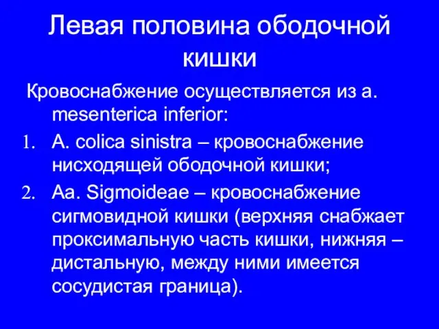 Левая половина ободочной кишки Кровоснабжение осуществляется из a. mesenterica inferior: