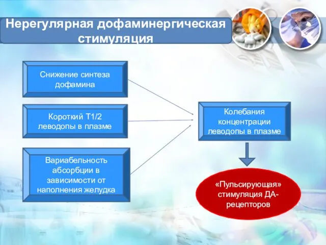 Нерегулярная дофаминергическая стимуляция Снижение синтеза дофамина Короткий Т1/2 леводопы в