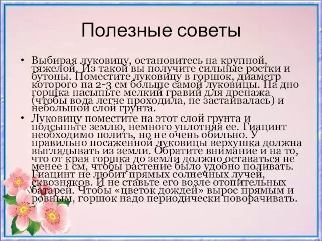 Полезные советы Выбирая луковицу, остановитесь на крупной, тяжелой. Из такой