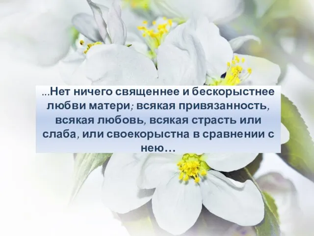 ...Нет ничего священнее и бескорыстнее любви матери; всякая привязанность, всякая