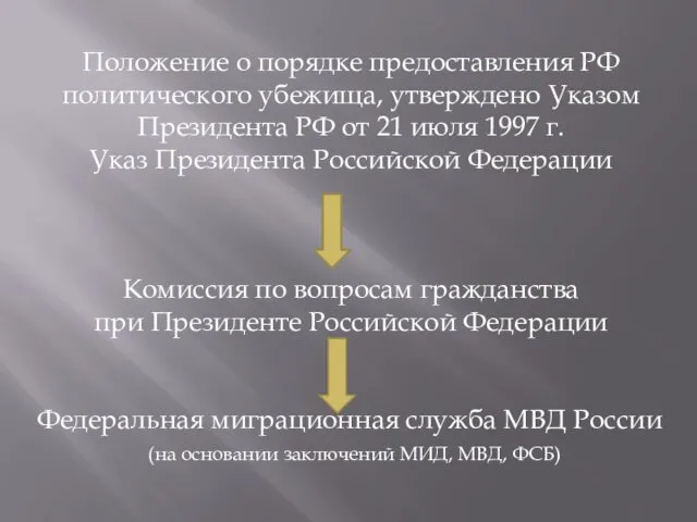 Положение о порядке предоставления РФ политического убежища, утверждено Указом Президента