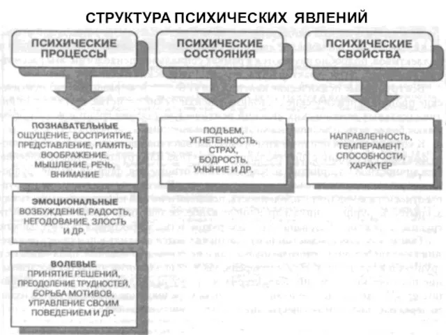 СТРУКТУРА ПСИХИЧЕСКИХ ЯВЛЕНИЙ