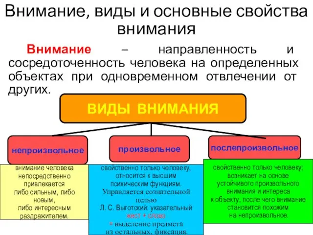 Внимание, виды и основные свойства внимания Внимание – направленность и