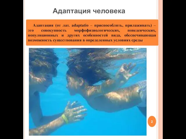 Адаптация (от лат. adaptatio – приспособлять, прилаживать) – это совокупность