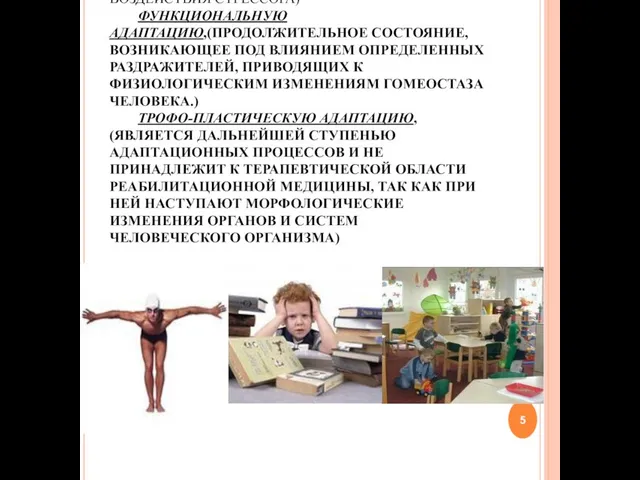 ВЫДЕЛЯЕТ РАЗЛИЧНЫЕ УРОВНИ АДАПТАЦИОННЫХ ПРОЦЕССОВ: ПРИВЫКАНИЕ,(НАЧАЛЬНЫЙ ПРОЦЕСС АДАПТАЦИИ ПОД ВЛИЯНИЕ