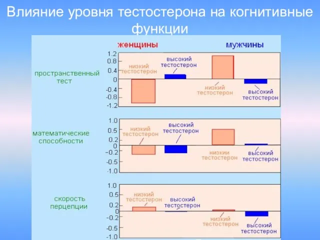 Влияние уровня тестостерона на когнитивные функции