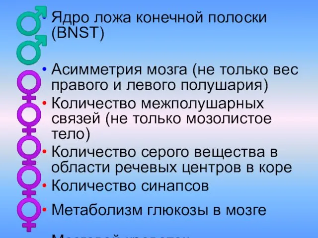 Ядро ложа конечной полоски (BNST) Асимметрия мозга (не только вес правого и левого