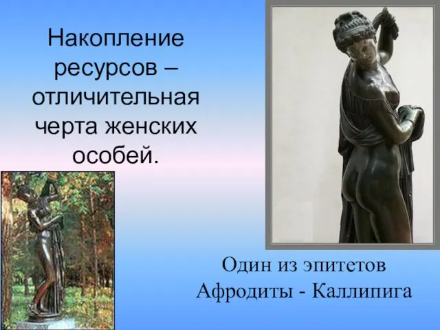 Накопление ресурсов – отличительная черта женских особей. Один из эпитетов Афродиты - Каллипига