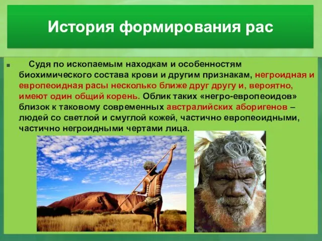 История формирования рас Судя по ископаемым находкам и особенностям биохимического