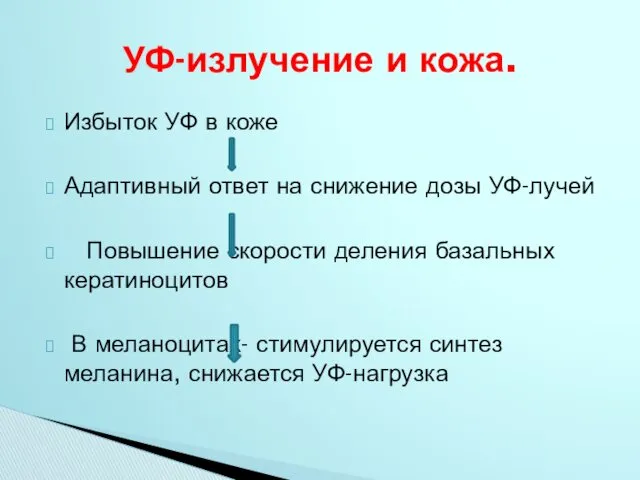 Избыток УФ в коже Адаптивный ответ на снижение дозы УФ-лучей