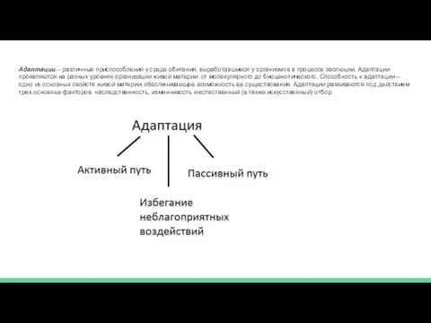 Адаптации – различные приспособления к среде обитания, выработавшиеся у организмов