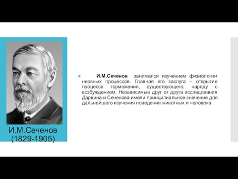 И.М.Сеченов (1829-1905) И.М.Сеченов занимался изучением физиологии нервных процессов. Главная его заслуга – открытие