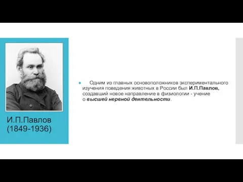 И.П.Павлов (1849-1936) Одним из главных основоположников экспериментального изучения поведения животных