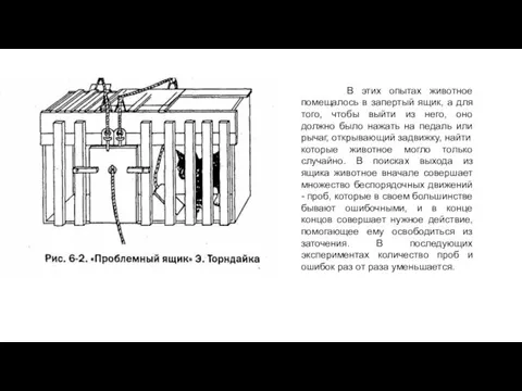 В этих опытах животное помещалось в запертый ящик, а для