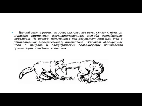 Третий этап в развитии зоопсихологии как науки связан с началом широкого применения экспериментального