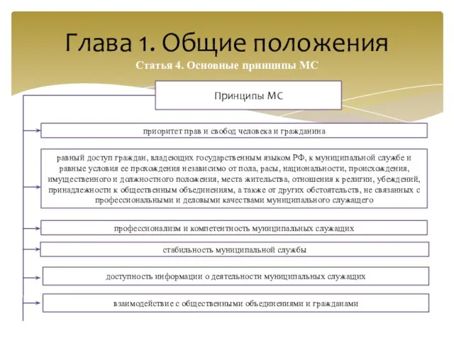 Глава 1. Общие положения Статья 4. Основные принципы МС приоритет прав и свобод