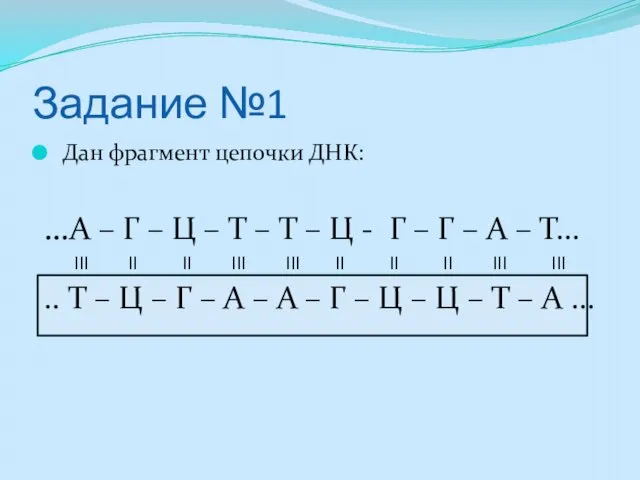 Задание №1 Дан фрагмент цепочки ДНК: …А – Г –