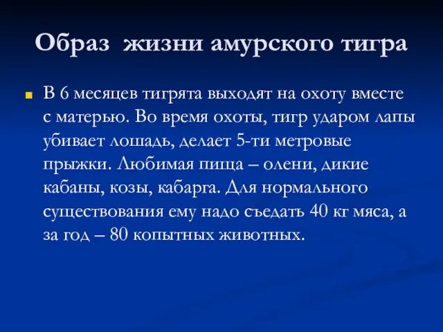 Образ жизни амурского тигра В 6 месяцев тигрята выходят на