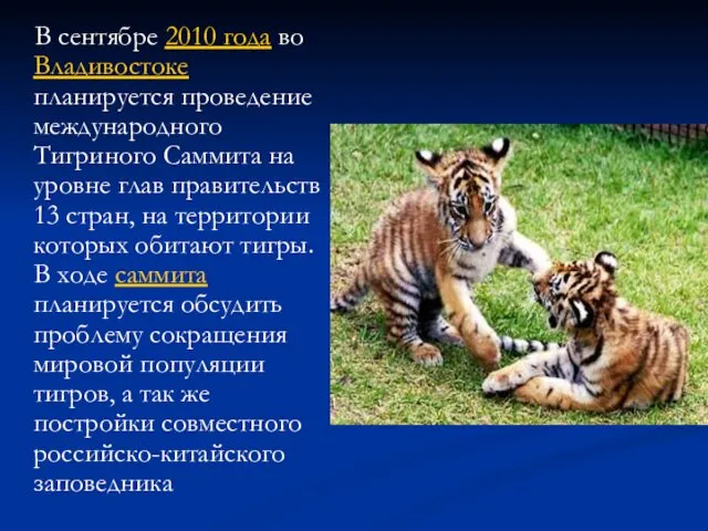 В сентябре 2010 года во Владивостоке планируется проведение международного Тигриного