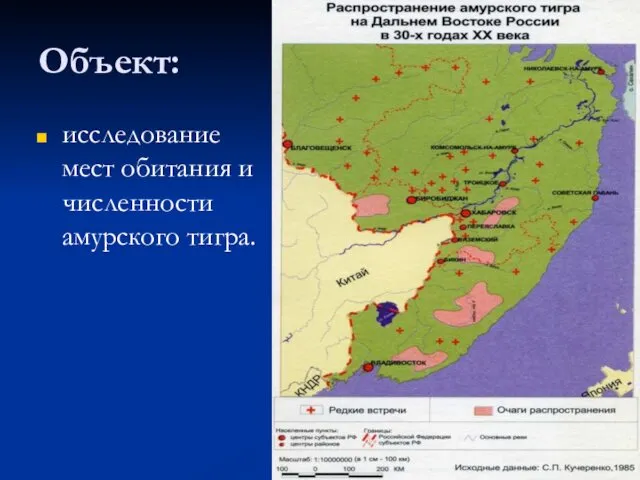 Объект: исследование мест обитания и численности амурского тигра.