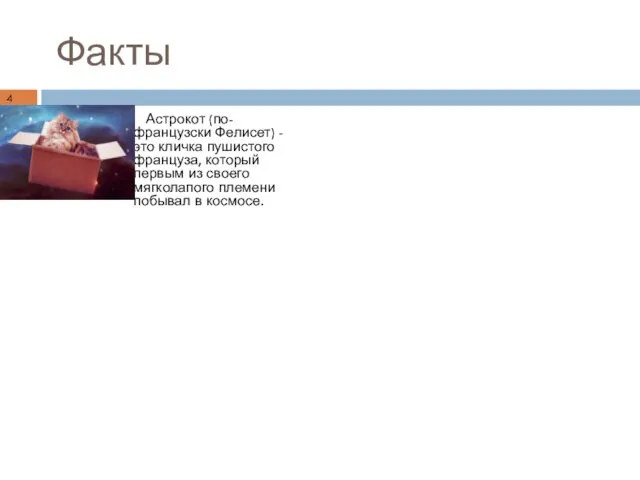 Факты Астрокот (по-французски Фелисет) - это кличка пушистого француза, который