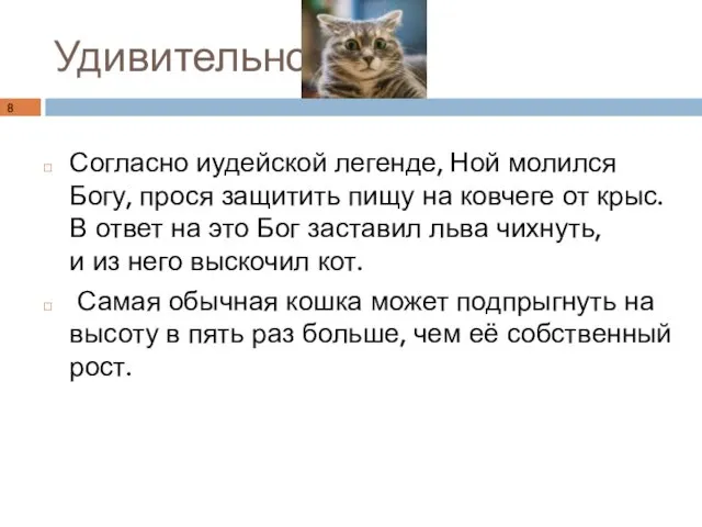 Удивительно Согласно иудейской легенде, Ной молился Богу, прося защитить пищу