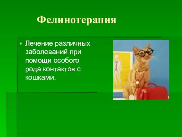 Фелинотерапия Лечение различных заболеваний при помощи особого рода контактов с кошками.