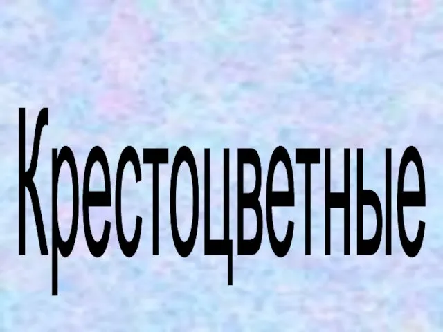 Крестоцветные