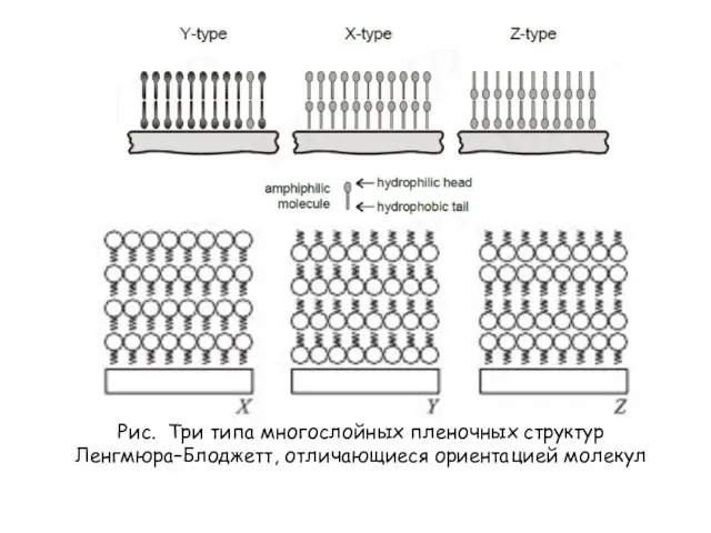 Рис. Три типа многослойных пленочных структур Ленгмюра–Блоджетт, отличающиеся ориентацией молекул