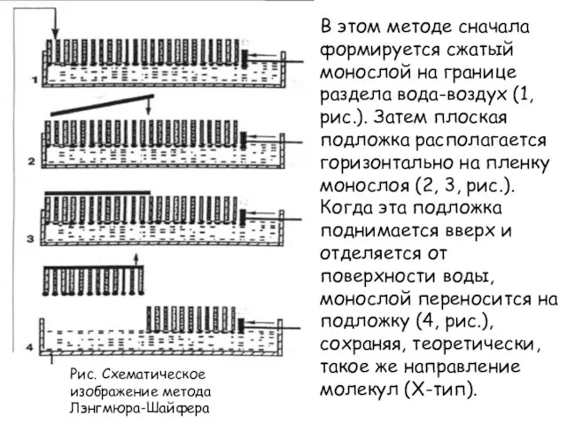 Рис. Схематическое изображение метода Лэнгмюра-Шайфера В этом методе сначала формируется