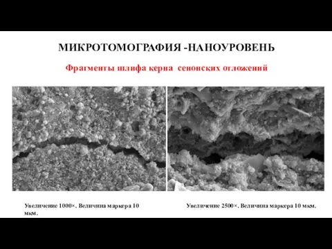 МИКРОТОМОГРАФИЯ -НАНОУРОВЕНЬ Фрагменты шлифа керна сенонских отложений Увеличение 2500×. Величина