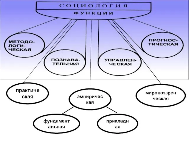 практическая эмпирическая мировоззренческая прикладная фундаментальная