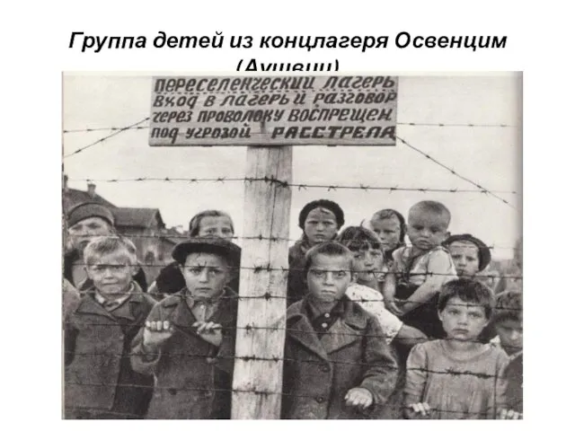 Группа детей из концлагеря Освенцим (Аушвиц)