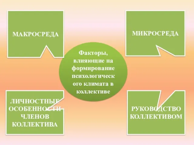 Факторы, влияющие на формирование психологического климата в коллективе МИКРОСРЕДА ЛИЧНОСТНЫЕ ОСОБЕННОСТИ ЧЛЕНОВ КОЛЛЕКТИВА МАКРОСРЕДА РУКОВОДСТВО КОЛЛЕКТИВОМ