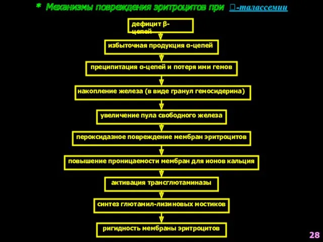 * Механизмы повреждения эритроцитов при -талассемии дефицит β-цепей избыточная продукция