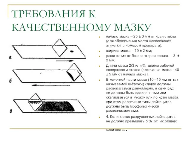 ТРЕБОВАНИЯ К КАЧЕСТВЕННОМУ МАЗКУ начало мазка – 25 ± 3