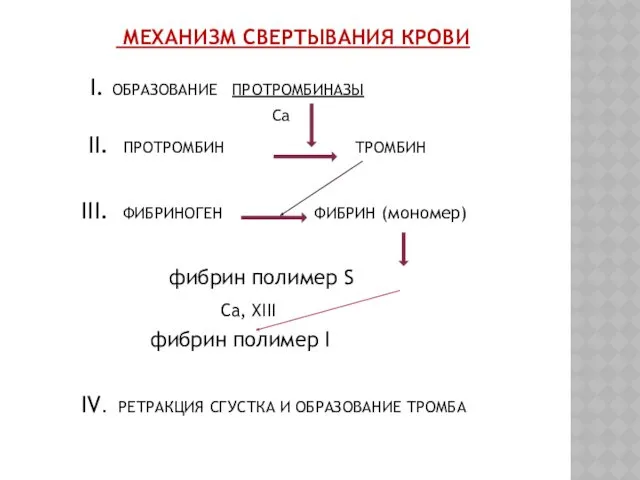 МЕХАНИЗМ СВЕРТЫВАНИЯ КРОВИ I. ОБРАЗОВАНИЕ ПРОТРОМБИНАЗЫ Са II. ПРОТРОМБИН ТРОМБИН