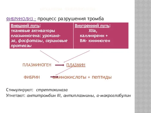 МЕХАНИЗМ ФИБРИНОЛИЗА ФИБРИНОЛИЗ - процесс разрушения тромба ПЛАЗМИНОГЕН ПЛАЗМИН ФИБРИН