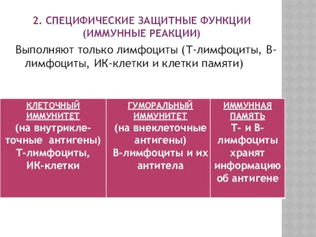 2. СПЕЦИФИЧЕСКИЕ ЗАЩИТНЫЕ ФУНКЦИИ (ИММУННЫЕ РЕАКЦИИ) Выполняют только лимфоциты (Т-лимфоциты, В-лимфоциты, ИК-клетки и клетки памяти)