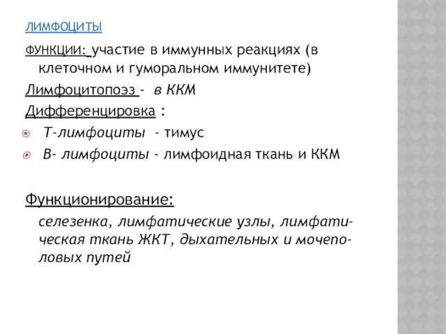 ЛИМФОЦИТЫ ФУНКЦИИ: участие в иммунных реакциях (в клеточном и гуморальном